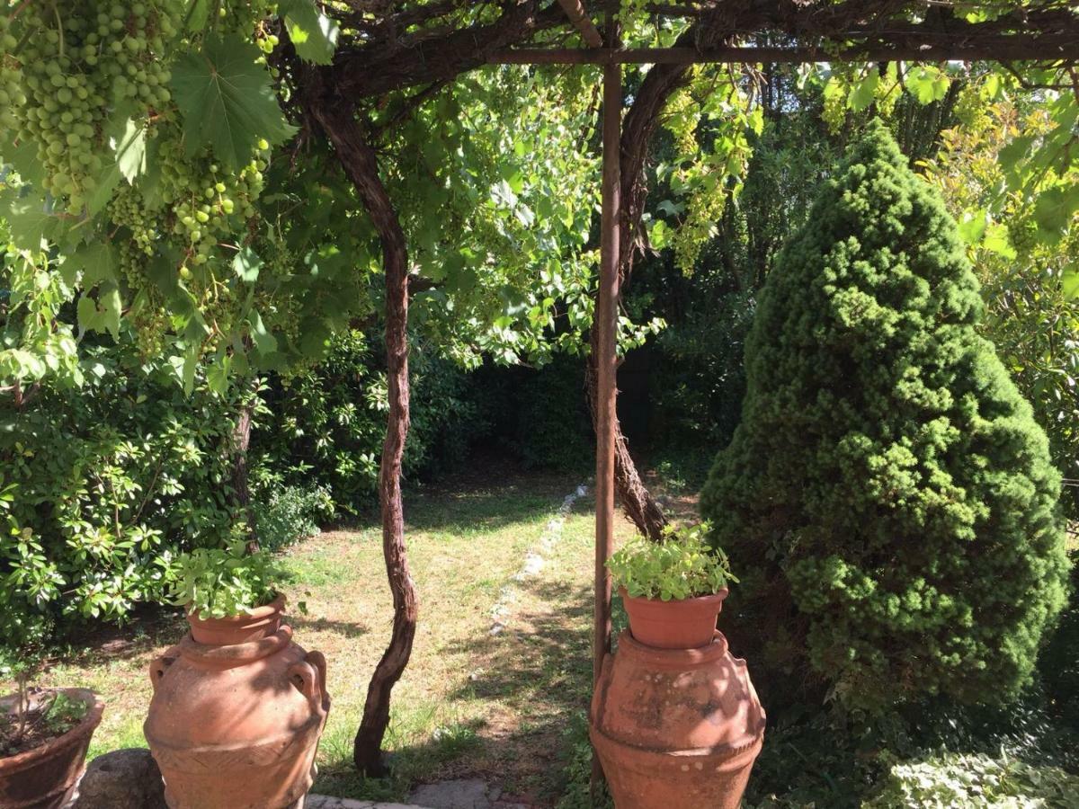 Giuseppe Giovannetti 50 Villa ลุคคา ภายนอก รูปภาพ